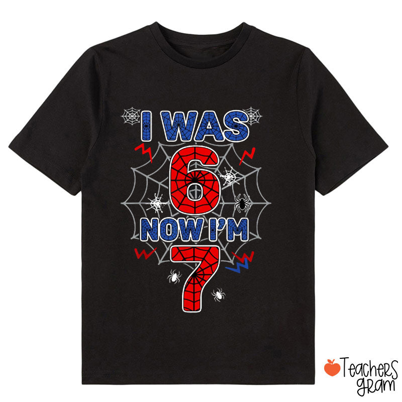 I Was 6 Now I'm 7 Cute Spider Web Birthday Class T-Shirt