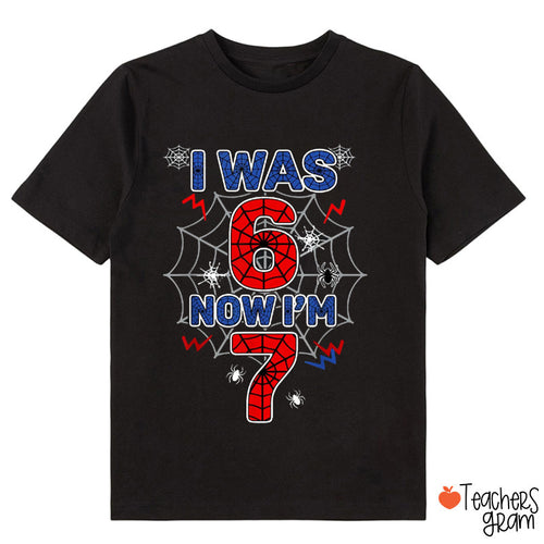 I Was 6 Now I'm 7 Cute Spider Web Birthday Class T-Shirt