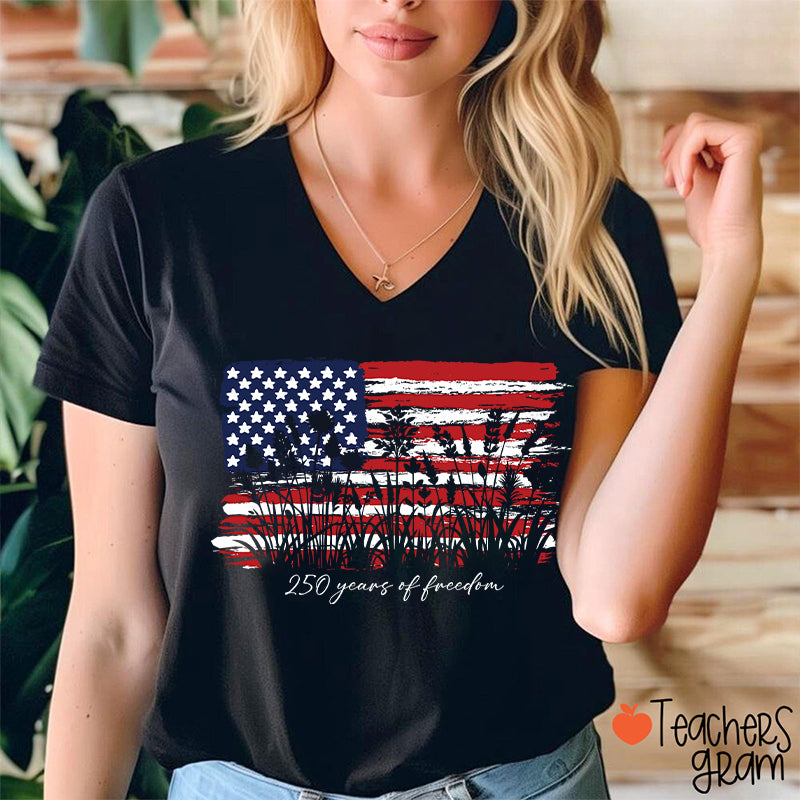 Land Of The Free Home Of The Brave Teacher Female V-Neck T-Shirt
